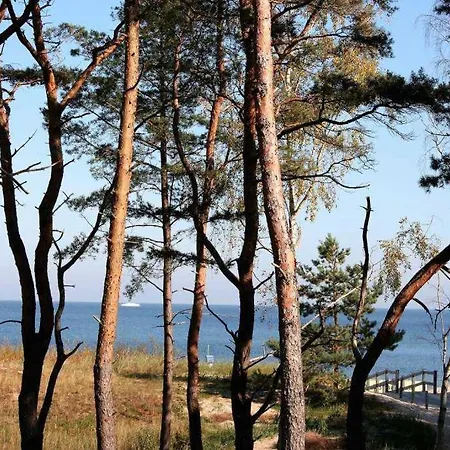 Strandresidenz Else Marie App 1 3 דירה הרינגסדורף