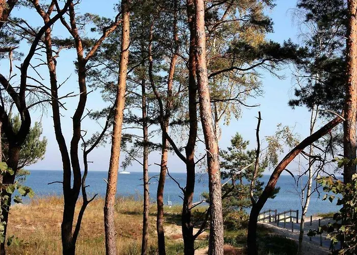 Strandresidenz Else Marie App 1 3 아파트 제바트헤링스도르프